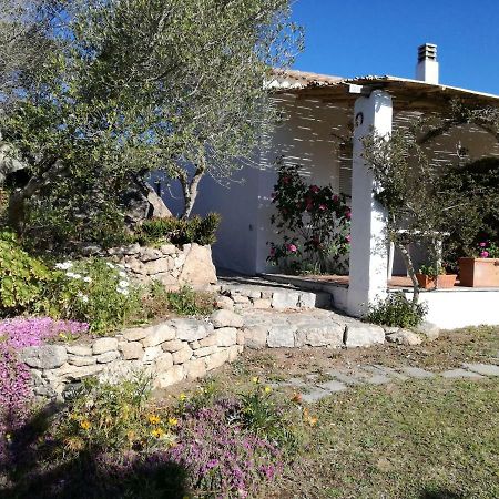 מלון סנטה טרזה גאיורה Agriturismo La Valletta מראה חיצוני תמונה