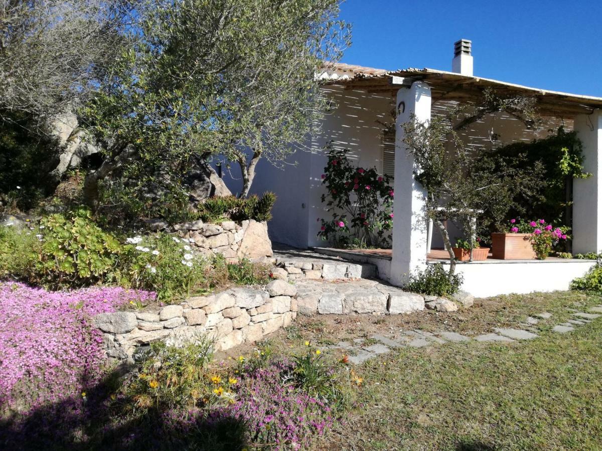 מלון סנטה טרזה גאיורה Agriturismo La Valletta מראה חיצוני תמונה