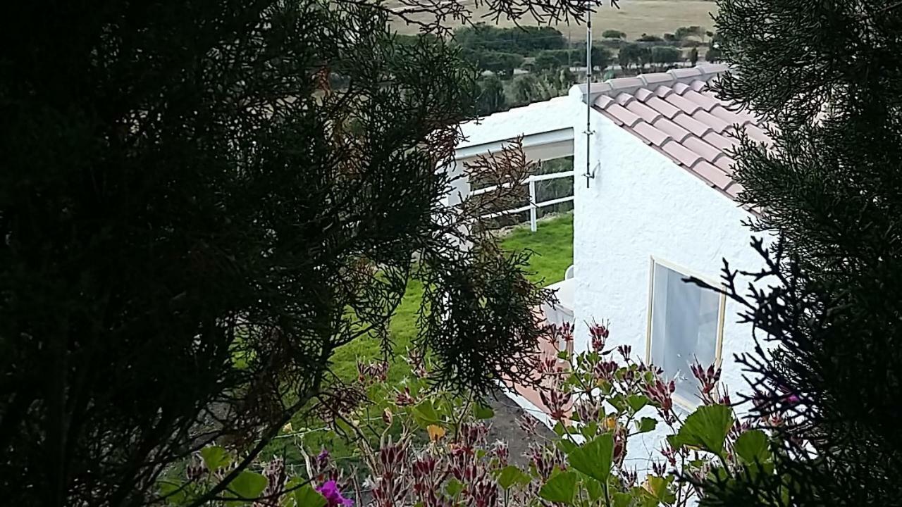 מלון סנטה טרזה גאיורה Agriturismo La Valletta מראה חיצוני תמונה