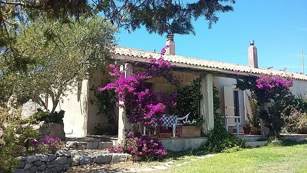 מלון סנטה טרזה גאיורה Agriturismo La Valletta מראה חיצוני תמונה