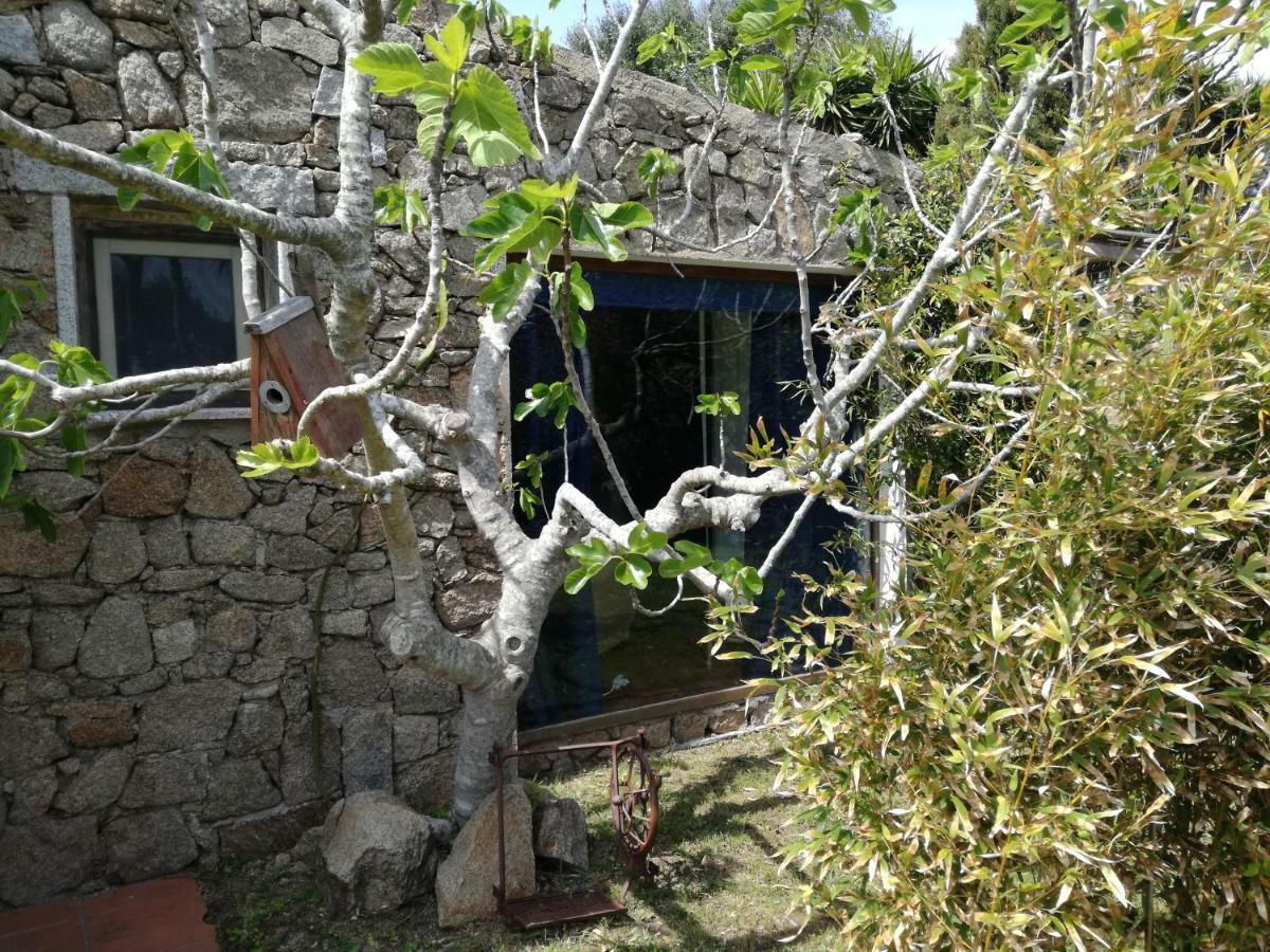 מלון סנטה טרזה גאיורה Agriturismo La Valletta מראה חיצוני תמונה
