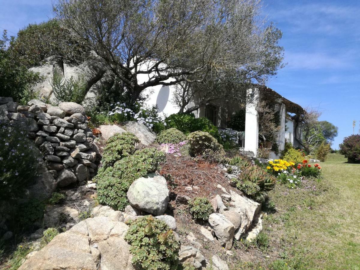 מלון סנטה טרזה גאיורה Agriturismo La Valletta מראה חיצוני תמונה